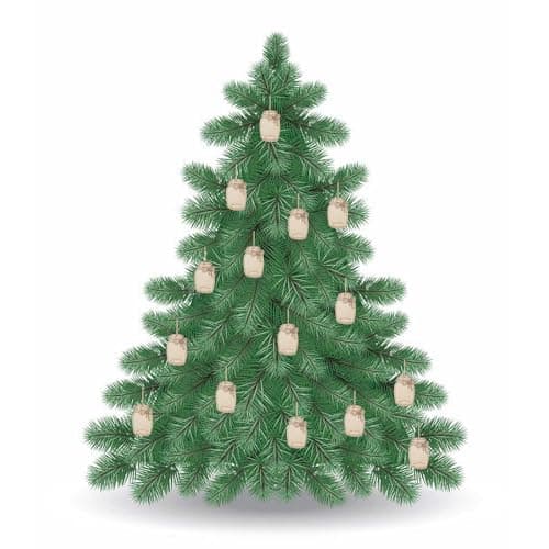 50pcs Mini Wood Mason Jar Cutouts with Hole Hemp Ropes for Decorations