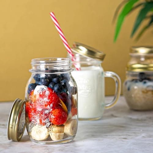 Bormioli Rocco Quattro Stagioni 17oz 12-Pack Glass Jars, Airtight Lid, Dry Food Storage, Italian Made