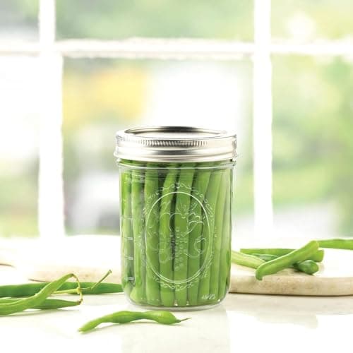 16 oz Wide Mouth Mason Jars with Airtight Lids, 6 Pack for Fermenting and Preserving