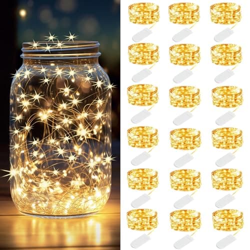 3.3ft 20 LED Silver Wire Warm White Fairy Lights for Weddings and Party Decorations