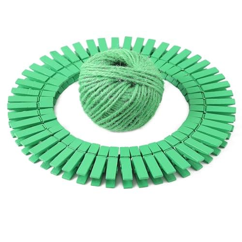 HSTECH 100pcs Mini Natural Wooden Clothespins & 82ft Jute Twine for Home Arts Crafts — Green-100pcs