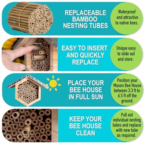 Rivajam 125 Bamboo Sticks for Crafts & Mason Bee Houses