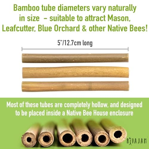 Rivajam 125 Bamboo Sticks for Crafts & Mason Bee Houses