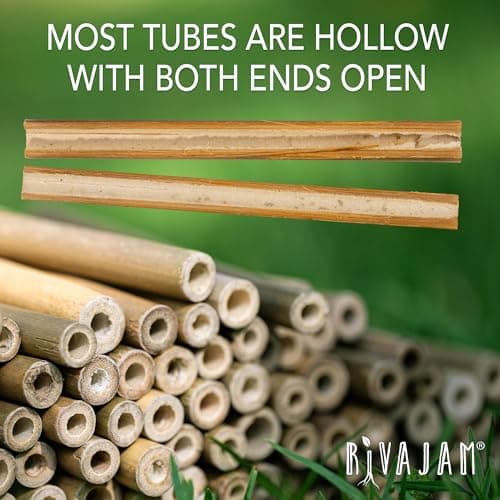 Rivajam 125 Bamboo Sticks for Crafts & Mason Bee Houses