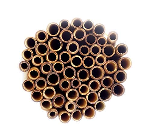 Natural Bamboo Bee Nest for Mason Bees, 5.9" Long, Easy to Split