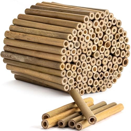 Rivajam 125 Bamboo Sticks for Crafts & Mason Bee Houses