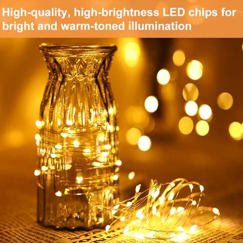 3.3ft 20 LED Silver Wire Warm White Fairy Lights for Weddings and Party Decorations