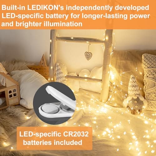 3.3ft 20 LED Silver Wire Warm White Fairy Lights for Weddings and Party Decorations