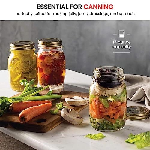 Bormioli Rocco Quattro Stagioni 17oz 12-Pack Glass Jars, Airtight Lid, Dry Food Storage, Italian Made