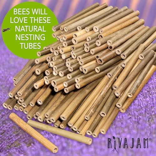 Rivajam 125 Bamboo Sticks for Crafts & Mason Bee Houses