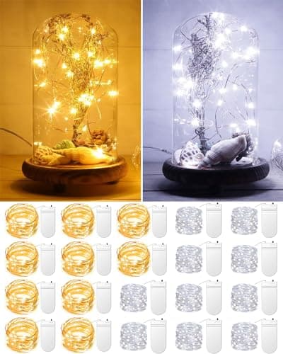 20 Pack Warm White Battery Operated Fairy Lights for Wedding Mason Jars Christmas Decorations — Warm White + Cool White