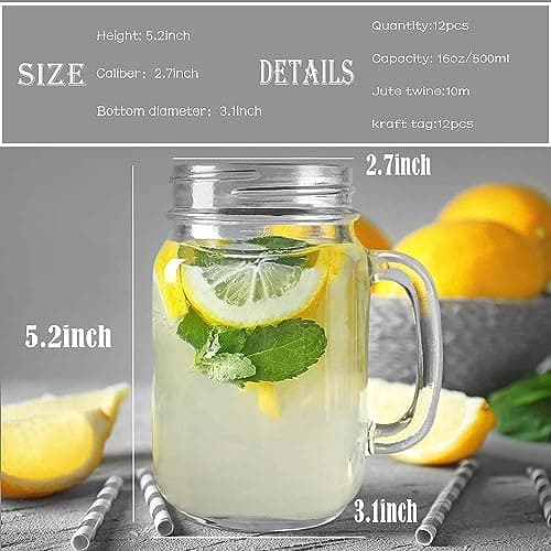 TANGLONG Mason Jar Cups, 16 oz, 12 Pack with Handle and Lid