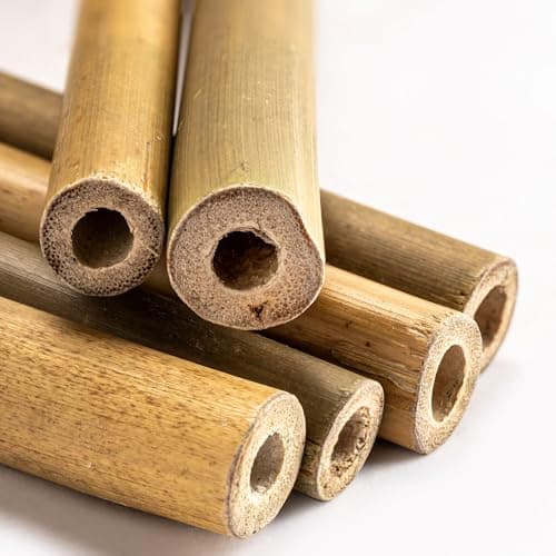 Rivajam 125 Bamboo Sticks for Crafts & Mason Bee Houses