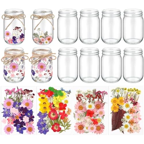 140 Pcs Natural Real Pressed Flowers Mason Jar Lanterns for Christmas Weddings