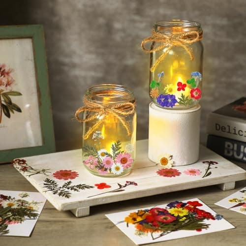 140 Pcs Natural Real Pressed Flowers Mason Jar Lanterns for Christmas Weddings