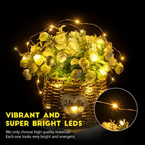 Brightown 24 Pack WaterProof 7 ft 20 LED Mini String Lights Silver Wire Firefly Lights