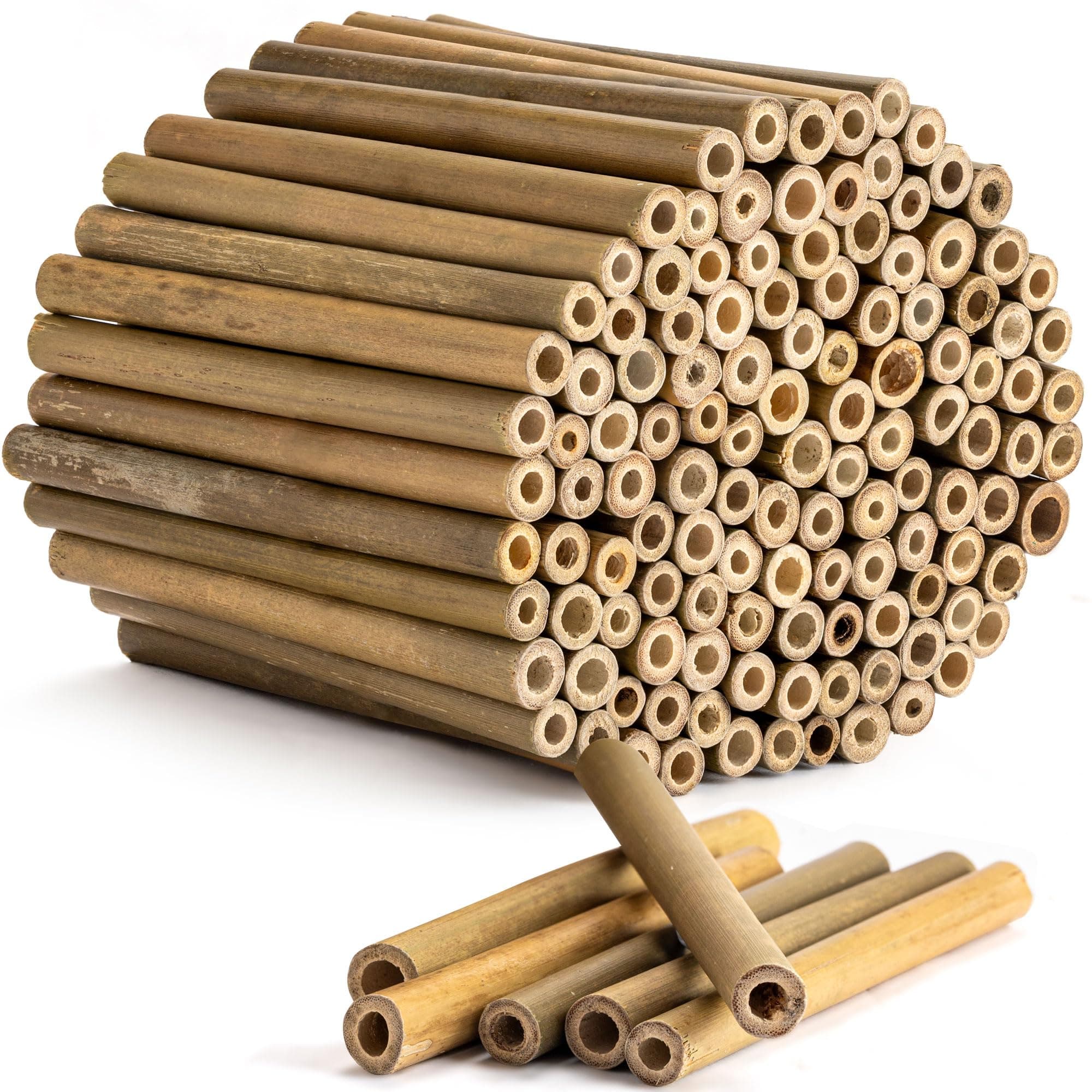Rivajam 125 Bamboo Sticks for Crafts & Mason Bee Houses